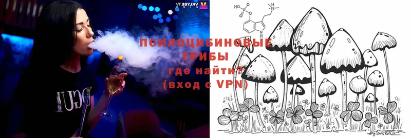 Псилоцибиновые грибы MAGIC MUSHROOMS  как найти наркотики  Камень-на-Оби 